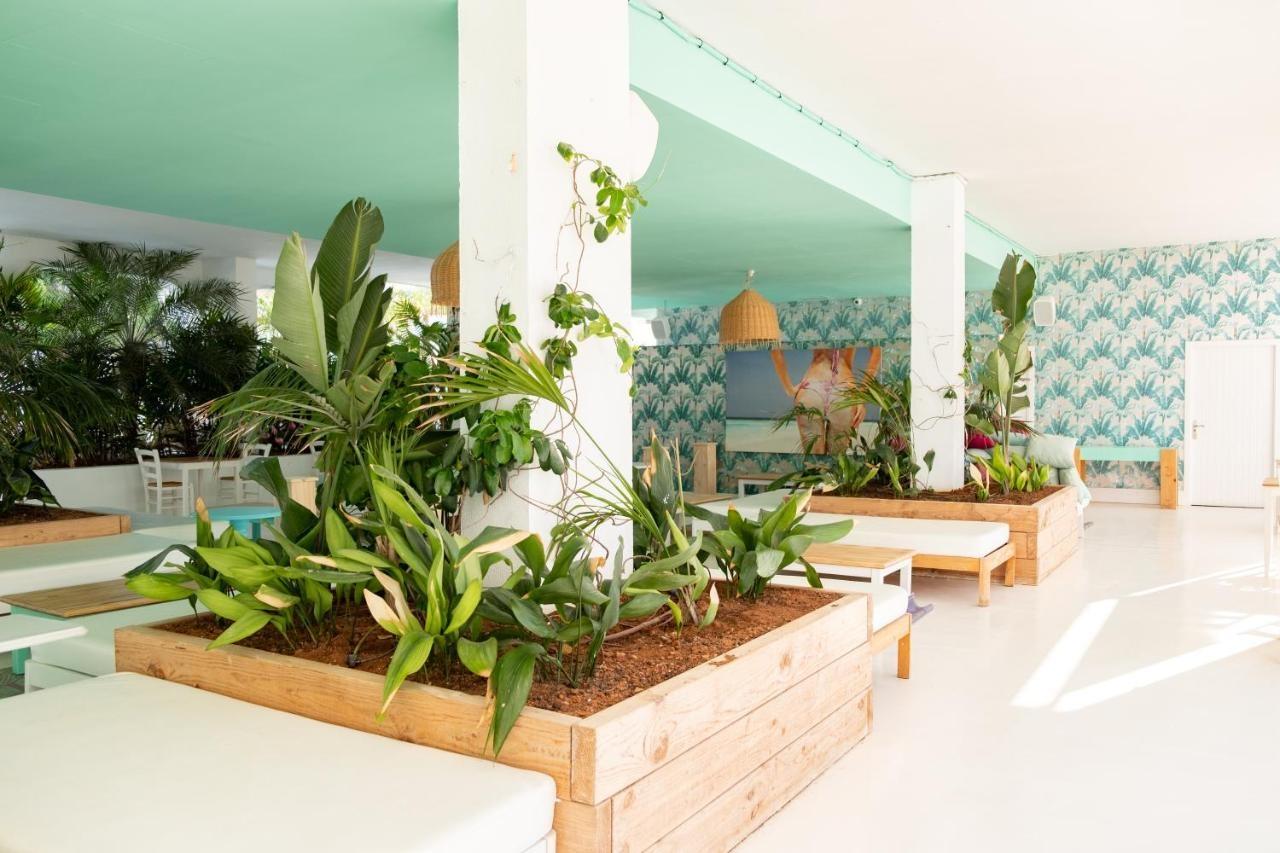 Beach Star Ibiza (Adults Only) San Antonio  Eksteriør billede